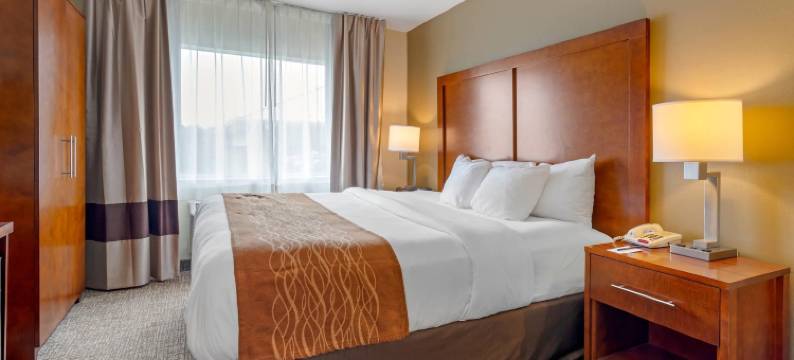 威尔克斯巴里竞技场舒适套房酒店(Comfort Inn & Suites Wilkes Barre - Arena)图片