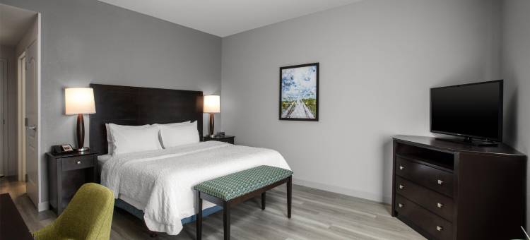 霍姆斯特德迈阿密南欢朋套房酒店(Hampton Inn & Suites by Hilton Homestead Miami South)图片