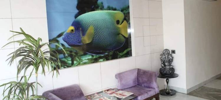 扎伊卡酒店，达尔班加(Hotel Zaika Darbhanga)图片