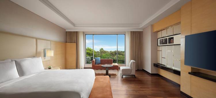 JW万豪昌迪格酒店(JW Marriott Hotel Chandigarh)图片