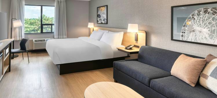 霍普港万豪City Express酒店(City Express by Marriott Port Hope)图片
