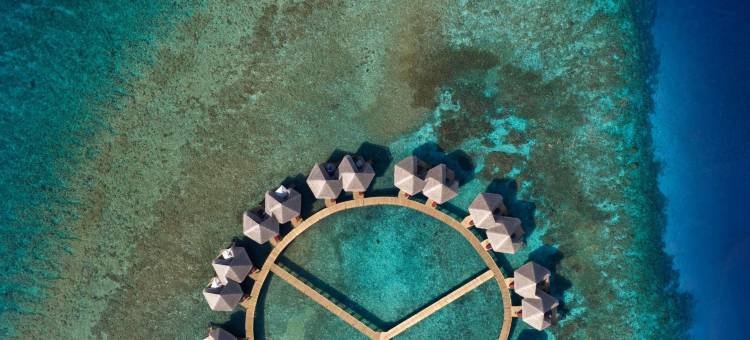 马尔代夫美憬阁米里希V别墅(V Villas Maldives at Mirihi - MGallery Collection)图片
