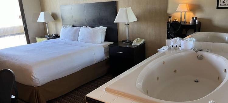 芝加哥西北绍姆堡温德姆花园酒店(Wyndham Garden Schaumburg Chicago Northwest)图片