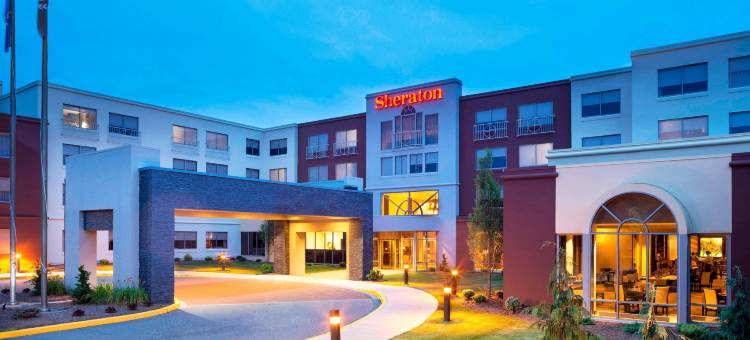 南哈特福德喜来登酒店(Sheraton Hartford South Hotel)图片
