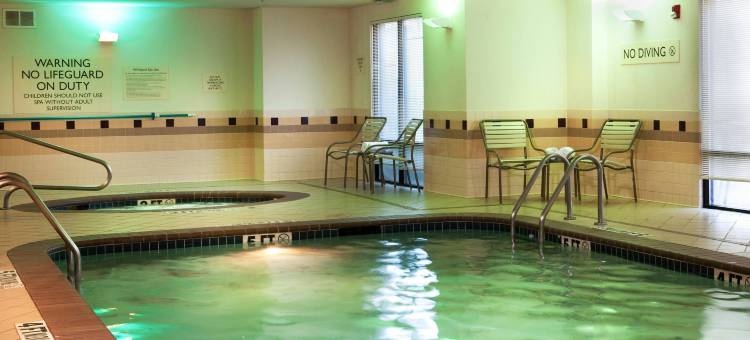 达拉斯沃斯堡国际机场北部／葡萄藤万豪SpringHill酒店(SpringHill Suites Dallas DFW Airport North/Grapevine)图片