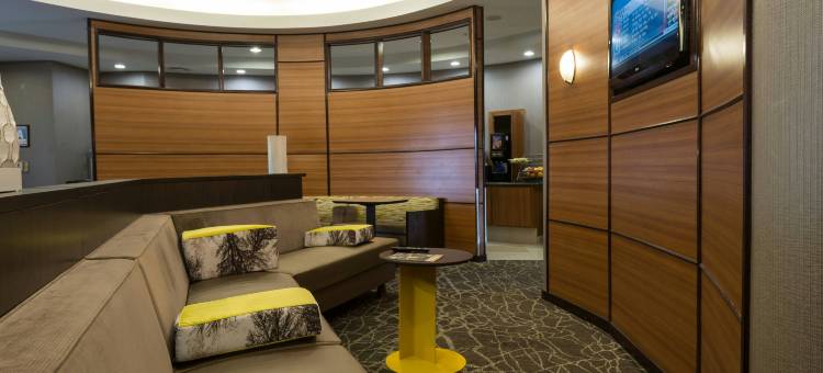 里奇克莱斯特SpringHill Suites酒店(SpringHill Suites Ridgecrest)图片