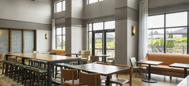 布拉塞尔顿欢朋酒店(Hampton Inn & Suites Braselton)图片