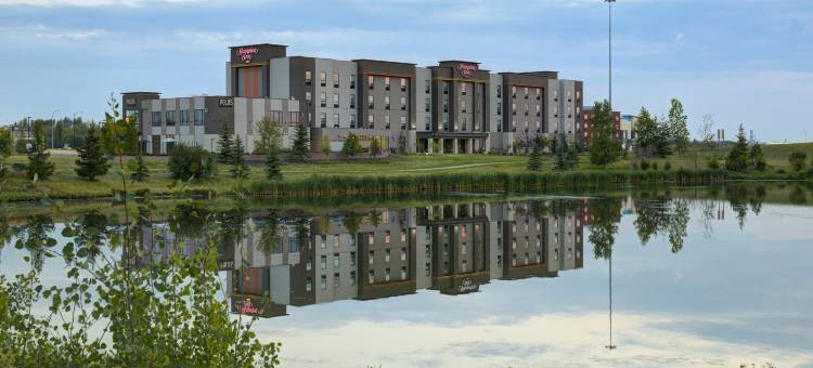 希尔顿欢朋酒店-埃德蒙顿舍伍德帕克(Hampton Inn by Hilton Edmonton/Sherwood Park)图片