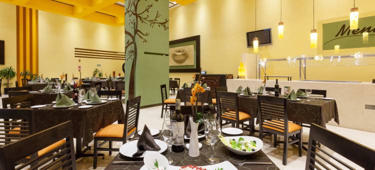 Holiday Inn 普埃布拉FINSA(Holiday Inn Puebla Finsa)图片