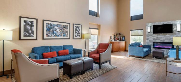 舒适酒店汉堡区 / I-75列克星敦(Comfort Inn Lexington I-75)图片