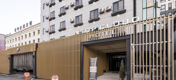 大田儒城 顶云酒店(Daejeon Yuseong Top Cloud Hotel)图片