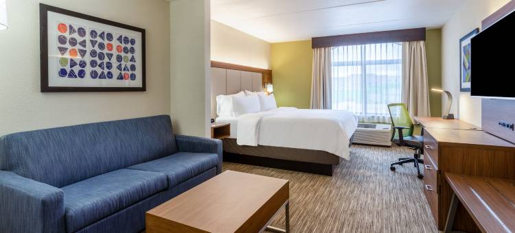 锡达福尔斯滑铁卢智选假日套房酒店(Holiday Inn Express & Suites CEDAR FALLS - WATERLOO by IHG)图片