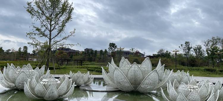 峨眉山环球旅居康养民宿(温泉大道分店)图片