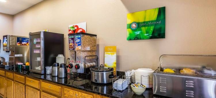 切斯特菲尔德村凯艺套房酒店(Quality Inn & Suites Chesterfield Village)图片