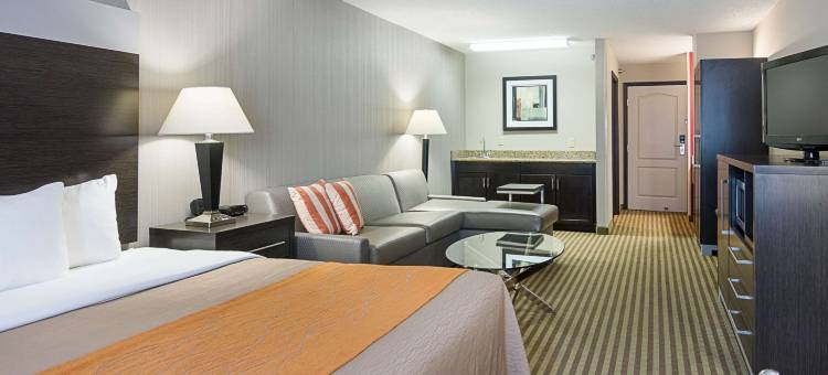 肯顿舒适酒店(Comfort Inn Camden)图片