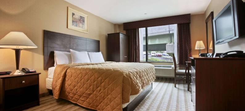 布朗克斯戴斯酒店-近体育场(Days Inn by Wyndham Bronx Near Stadium)图片