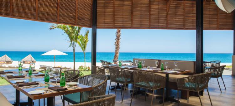 Krystal大师洛斯卡波斯- 全包(Krystal Grand Los Cabos - All Inclusive)图片