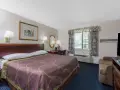 一室公寓套房 - 帶4張大號床