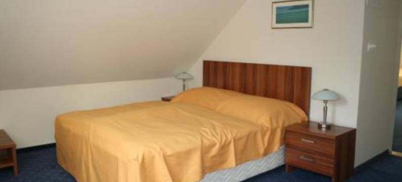 穹窿酒店(Főnix Hotel)图片