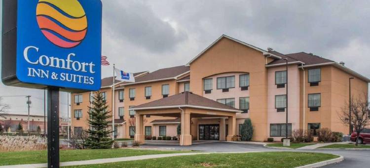 福明顿舒适酒店及套房(Comfort Inn & Suites Farmington - Victor)图片