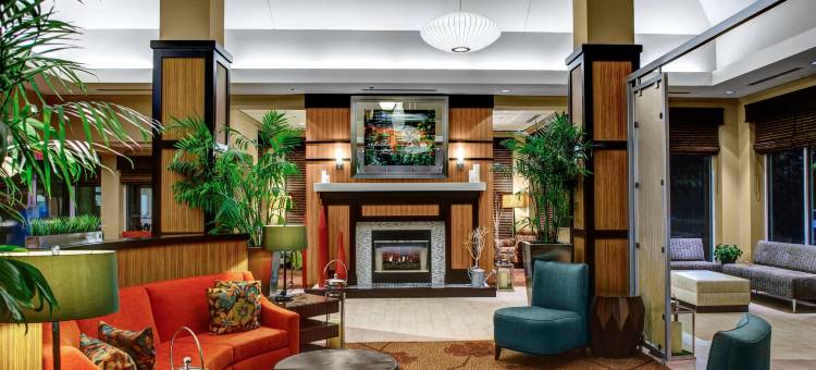 北亚特兰大/阿尔普哈雷塔希尔顿花园酒店(Hilton Garden Inn Atlanta North/Alpharetta)图片