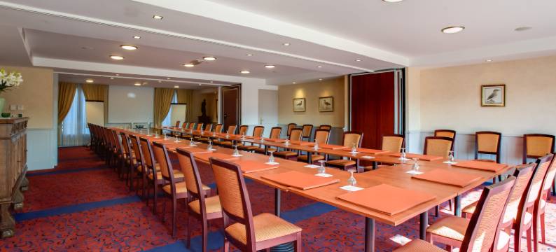 美岸酒店(Hôtel Beau Rivage Condrieu)图片