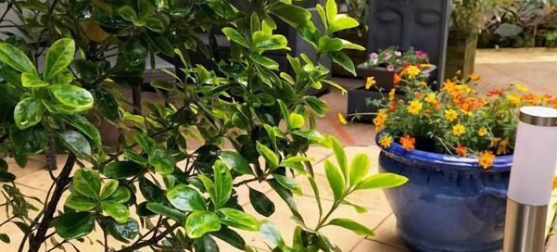 HERARD酒店餐厅(Hotel Restaurant Herard)图片