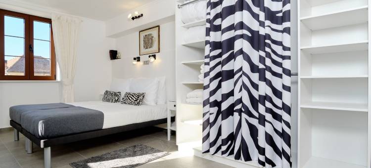 斑马(Zebra Hotel)图片