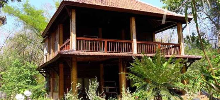 乔伊的G-Land营地(G-Land Joyo's Camp)图片