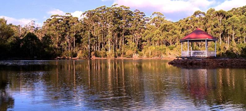 森林洛奇度假村(Forest Lodge Resort)图片