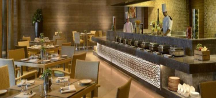拉里曼加酒店(The Lalit Mangar)图片