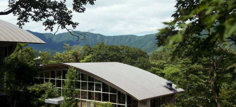 箱根隐居酒店(Hakone Retreat Före)图片