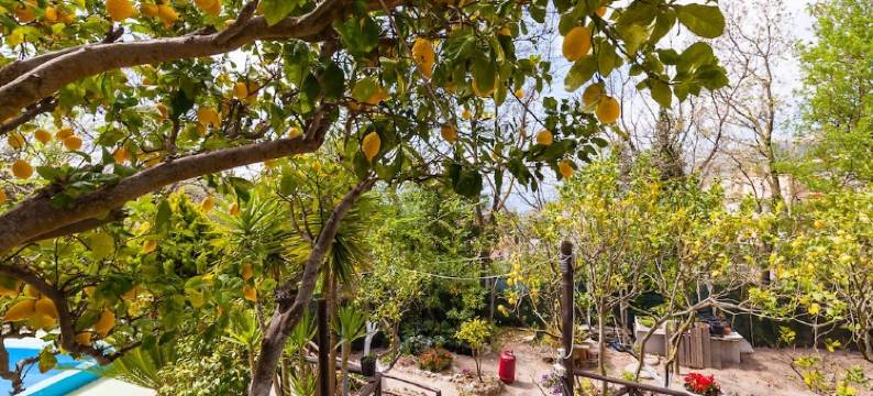 尼特罗迪体验民宿(B&B Nitrodi Experience)图片