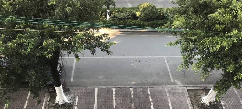 三只猫咪公寓(绣球大道1号分店)图片