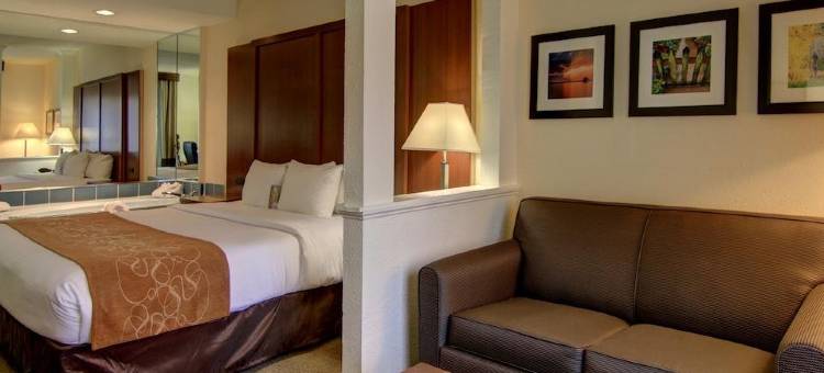 卡明舒适套房酒店 - 亚特兰大近福赛思北区医院(Comfort Suites Cumming-Atlanta Near Northside Hospital Forsyth)图片