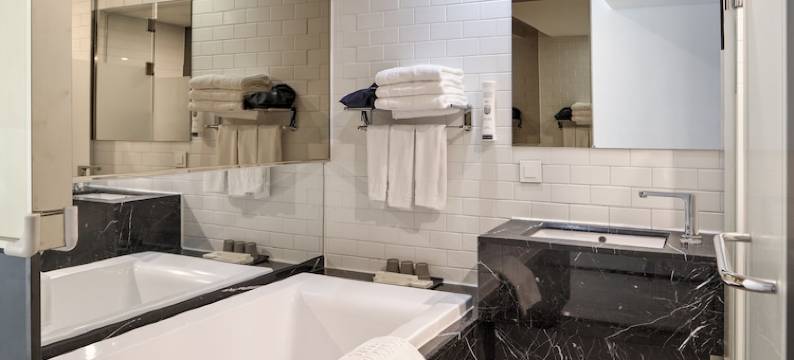 首尔明洞相铁喜普乐吉酒店(SOTETSU HOTELS THE SPLAISIR SEOUL MYEONG-DONG)图片