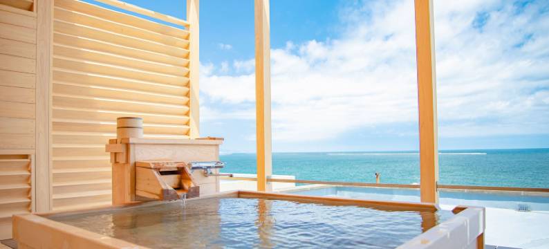 矶崎温泉 新白亚纪酒店(Hotel New Hakuaki)图片