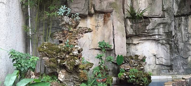 水石山房民宿(四普庄路分店)图片