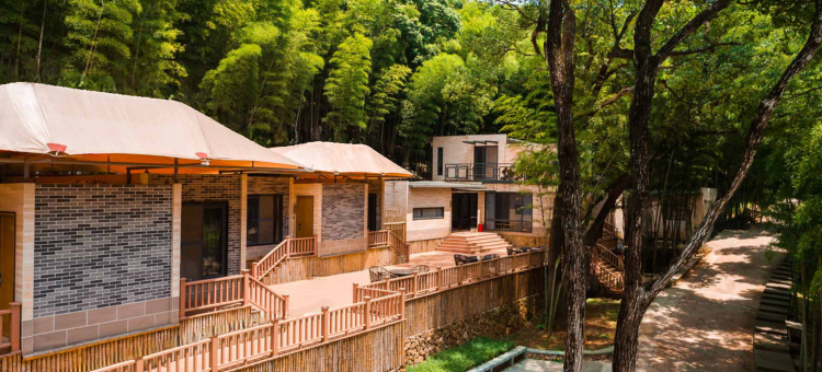 丫山旅游度假区-春秋舍图片