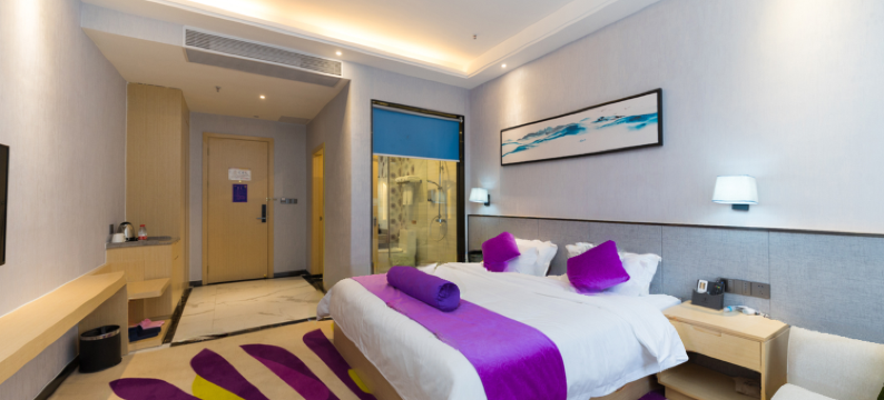 怡枫精品酒店(东莞国贸店)图片