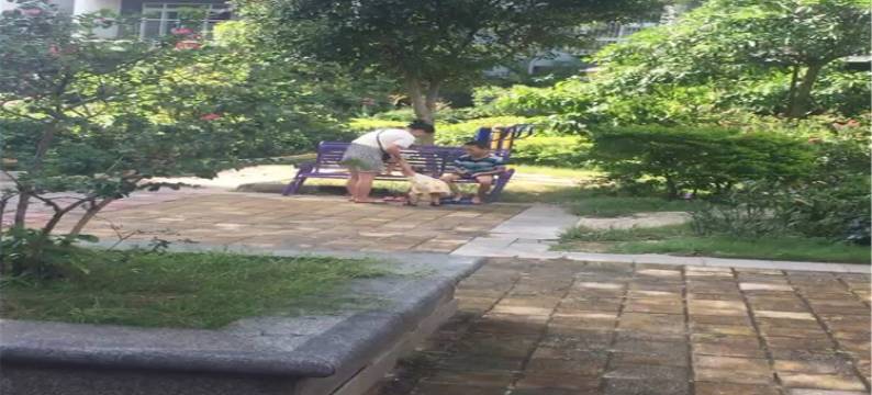 北海在海一方海景民宿(2号店)图片