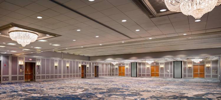 波士顿纽顿万豪酒店(Boston Marriott Newton)图片