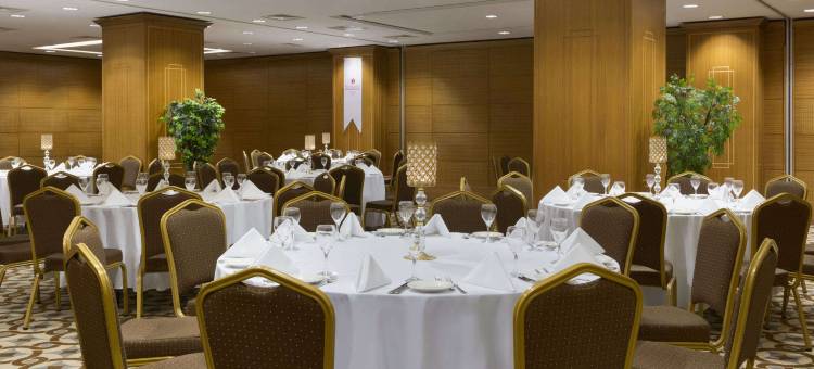 伊兹米特温德姆华美达广场酒店(Ramada Plaza by Wyndham Izmit)图片