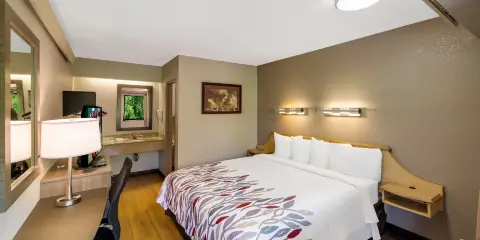 阿什維爾 - 比爾特摩爾西紅屋頂酒店