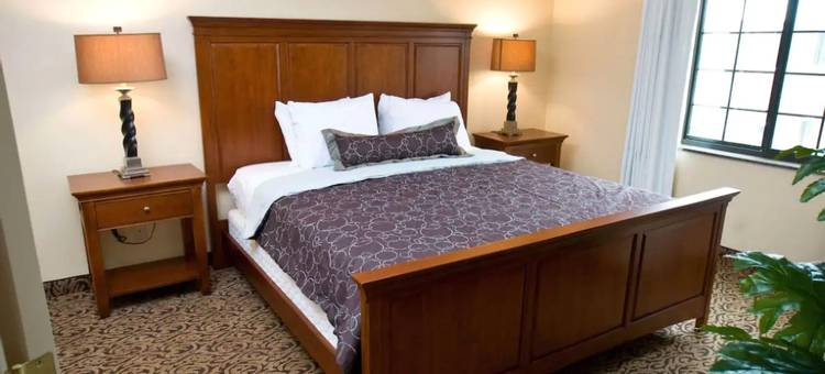 威廉斯维尔 - 布法罗驻桥套房酒店(Staybridge Suites WILLIAMSVILLE - BUFFALO)图片