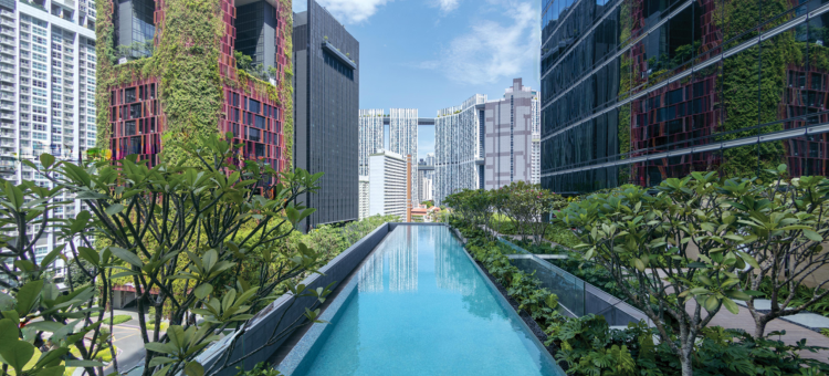 新加坡市中心索菲特酒店(Sofitel Singapore City Centre)图片