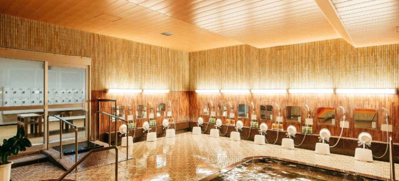 龟之井酒店 富田林(Kamenoi Hotel Tondabayashi)图片