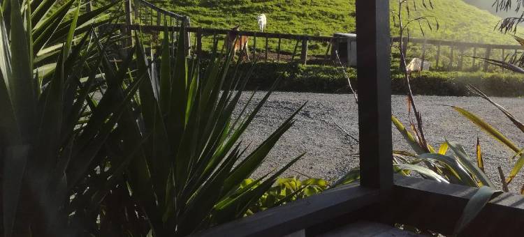 朱诺霍尔BBH酒店(YHA Waitomo, Juno Hall)图片