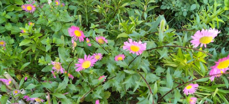 福缘小居公寓(车站路分店)图片