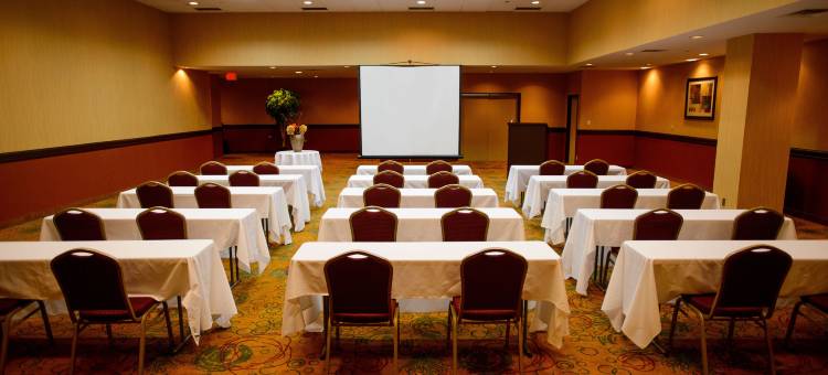 Hotel Indigo 罗切斯特城中心(Hotel Indigo Rochester – Mayo Clinic Area)图片